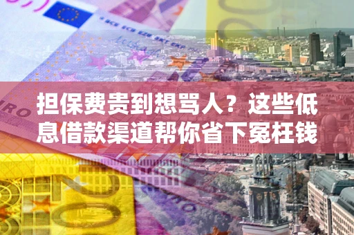 济南担保费贵到想骂人？这些低息借款渠道帮你省下冤枉钱